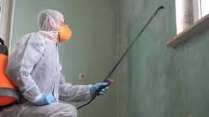 Best Commercial Mold Inspection  in Franklin, TX