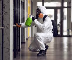  Franklin, TX Mold Prevention & Removal Pros